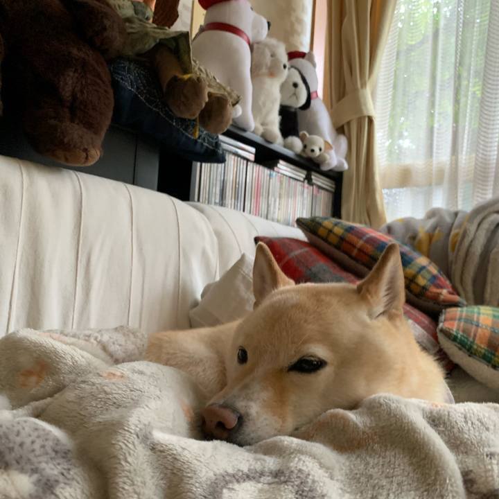 004882fb 3358 4c4f 9cf3 2731d08e74da 1665535707746