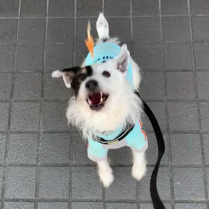 0048ac20 4f33 4edc ab8a dee221b4193a 1711845377850