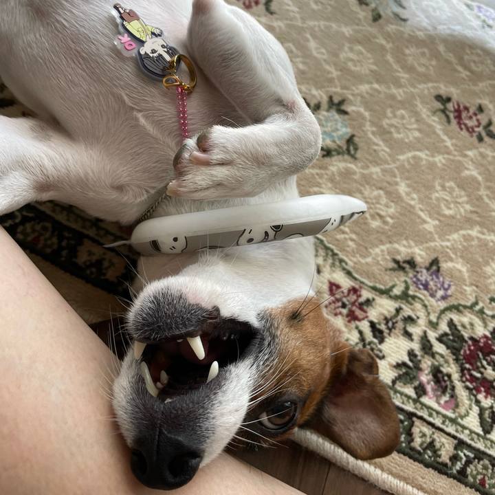 0048aced 28d6 4498 acde 34a802144c04 1693903759191