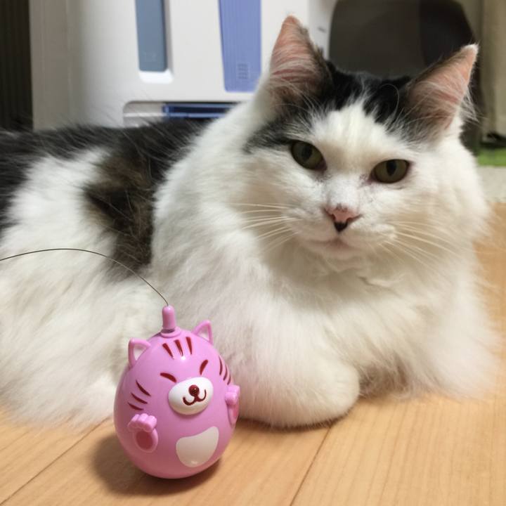 0048d261 bc8c 4133 b2e9 4c70f404b024 1515340422247