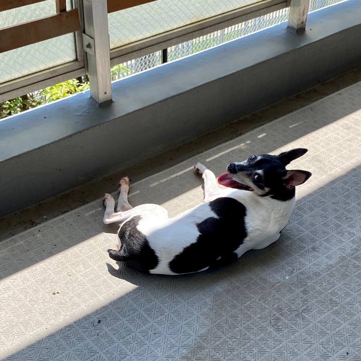 0048e1a7 9a1a 4fdb 9340 b2d4e42400e0 1596343478246