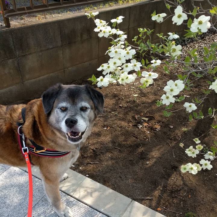 00494837 f7fe 4614 99ae e1b25bae33d1 1555632866906