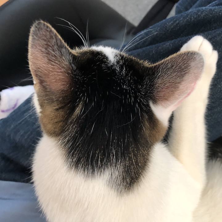 00494f4a 9edb 425f bc70 cca17cd16e97 1619180972872