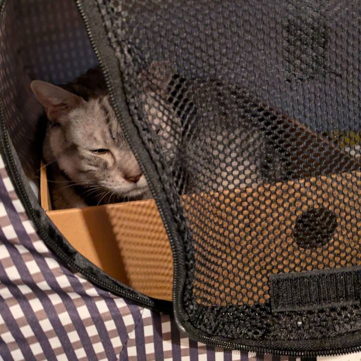 00497c6f 122b 467e 8323 cf8c6e598eef 1764094299810