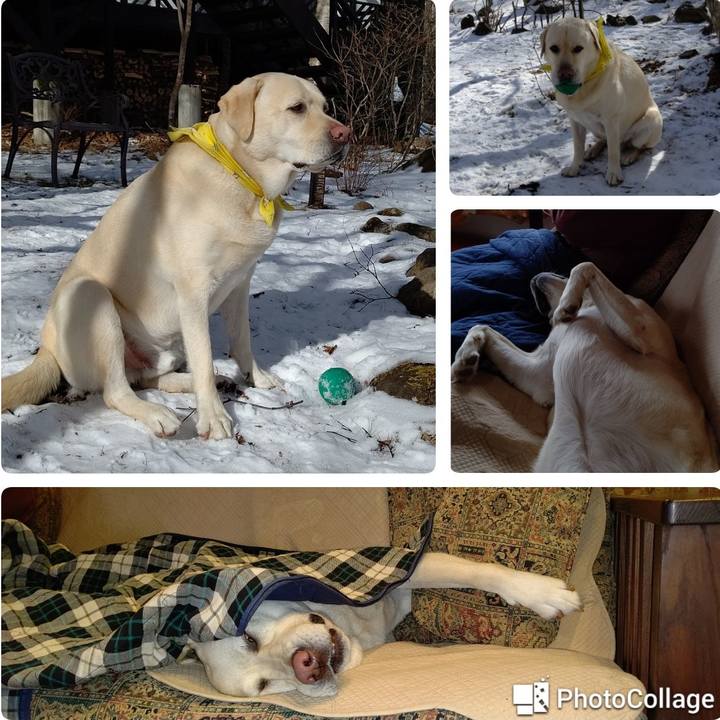 004985f9 f3ab 4b1d ae60 39f13dff70b9 1610009962787