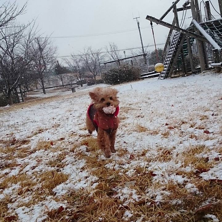 00499679 10a6 40af bfd7 7042579491fe 1515654418320