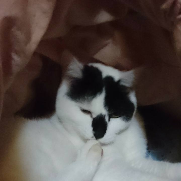 0049a387 80e4 4685 b9b6 3da74e71a175 1545223301578