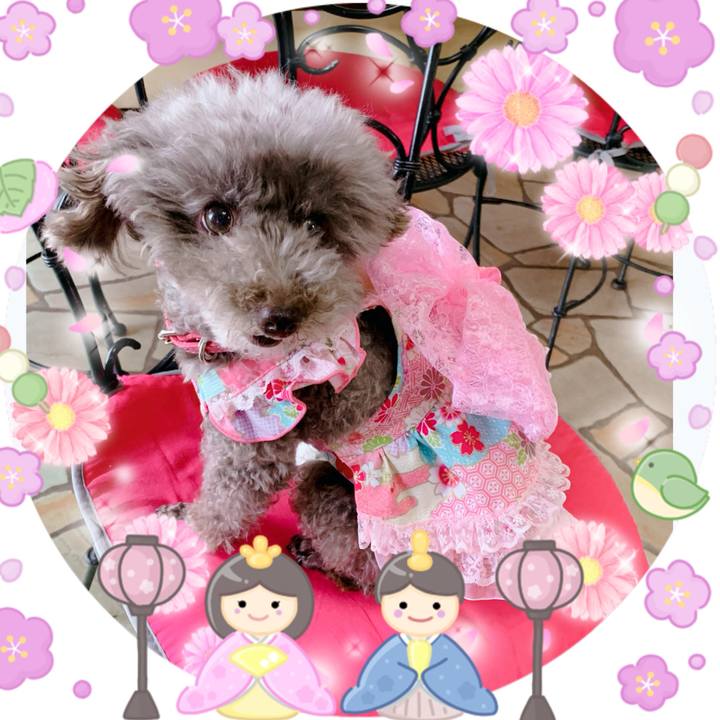 0049a61c 86c3 473c bab2 8179c705b2f6 1709436878431