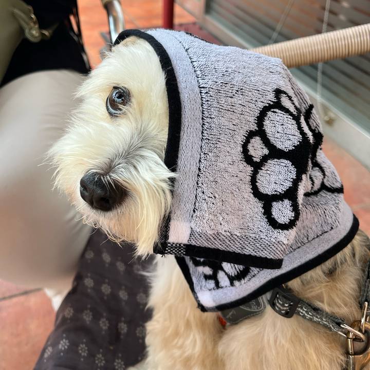 0049b437 e7e3 454b a701 9d54a4ce51f1 1755920317550