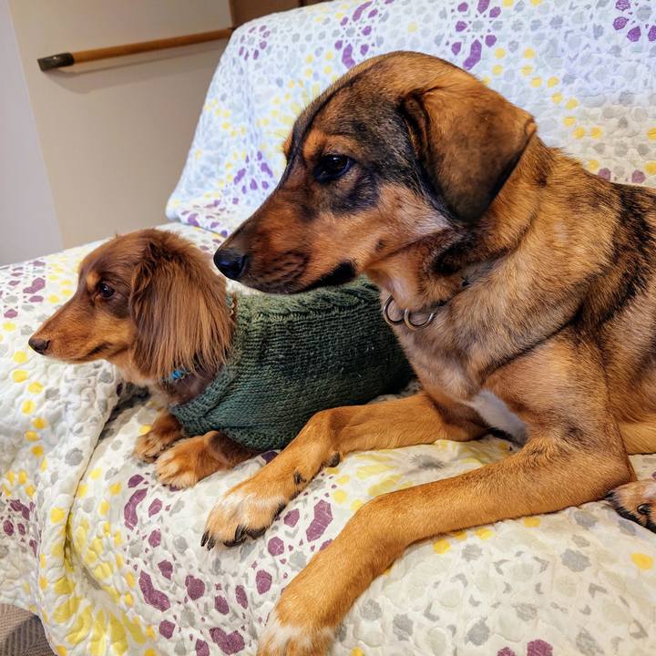 0049c37d 349f 4ff4 8f94 ff820bf908a0 1738474136166