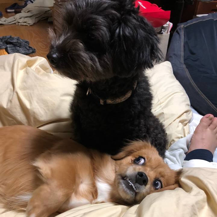 0049c4f0 47a7 4fae aa9f e7abd6b2e41c 1509359523222