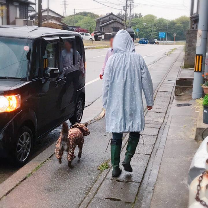 0049c84e 887d 4803 b2ce 6552db64bc6b 1557827689854