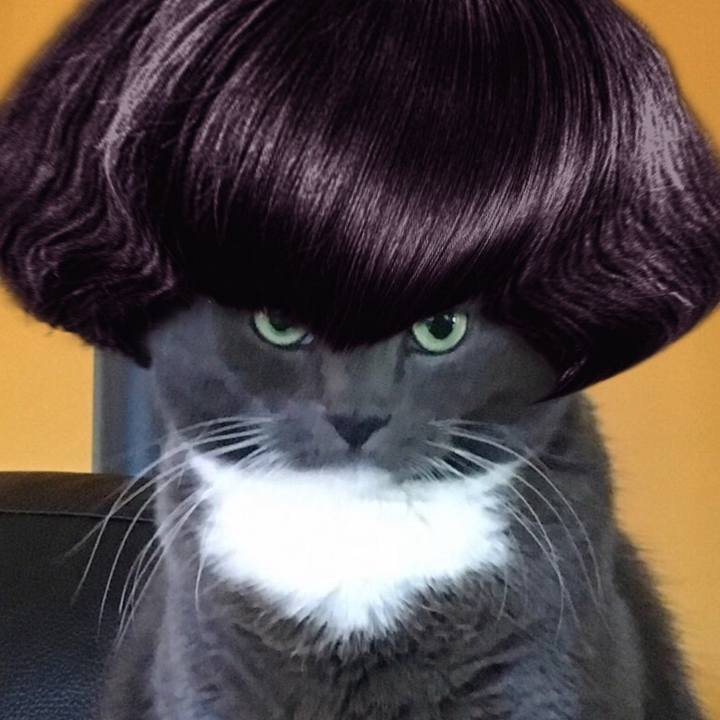 004a32ef 8f81 4b90 b6ec e094ed3d5a12 1515682638422