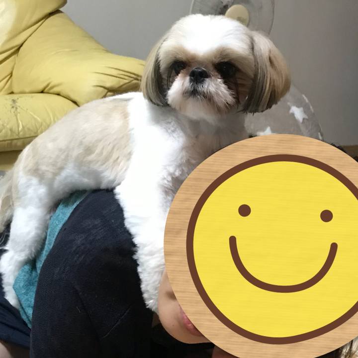 004a3a4f 79ef 4887 bbc5 33cf4b59faf9 1601181204880