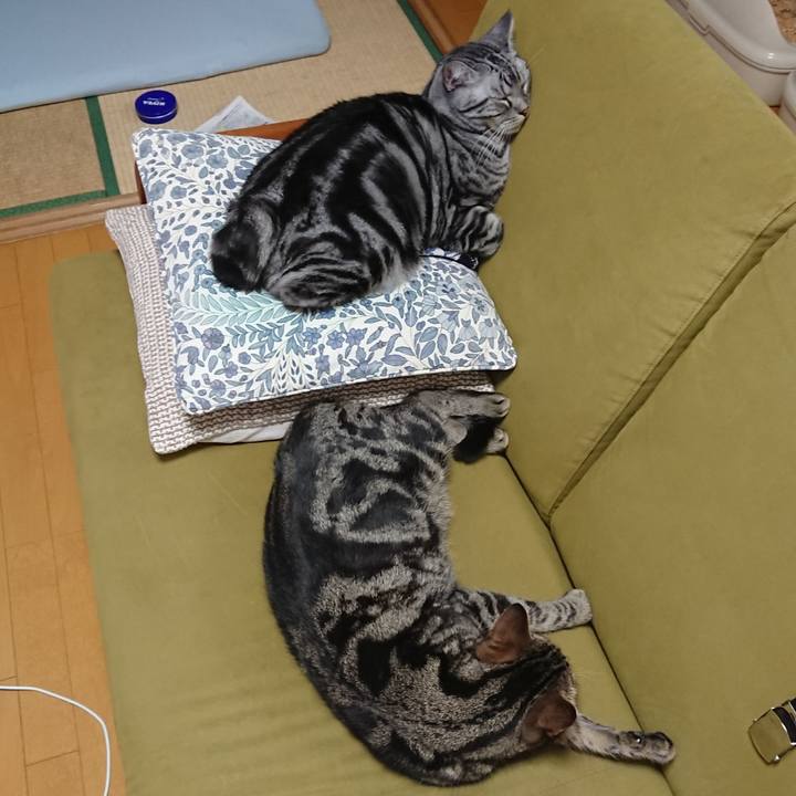 004a7a43 ff80 4e80 ba0a 2868d6c8a545 1589026619756