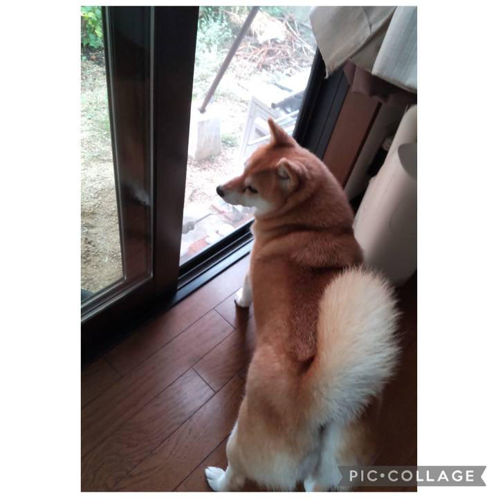 004ac648 4723 41d1 9645 22b25cedb780 1758782776672