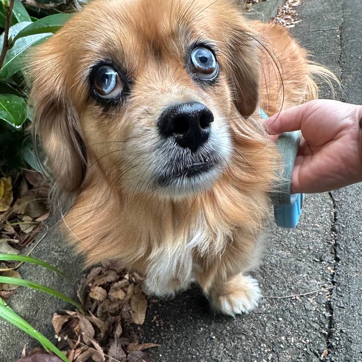 004b0dbf 0f44 4d03 8ea0 dedb1da9d489 1699762265407