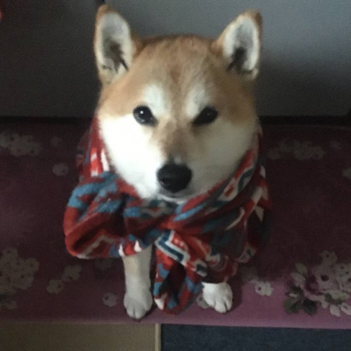 004b2585 598e 4fe1 a758 97f82adeebbf 1576994725281