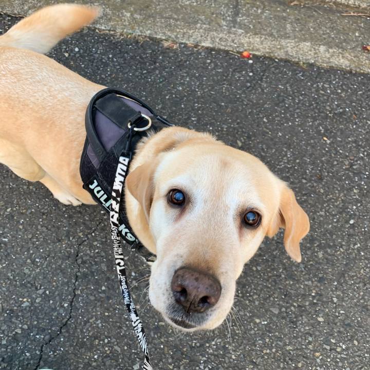 004b2f06 1835 4939 b125 905835e43696 1709473495861