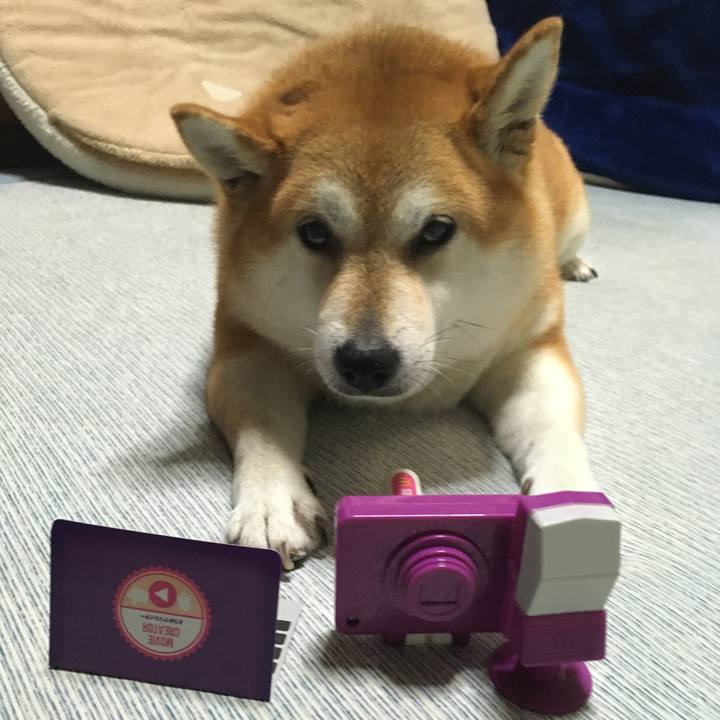 004b7210 924f 47ff b418 e3a6d342dbc2 1629104669530