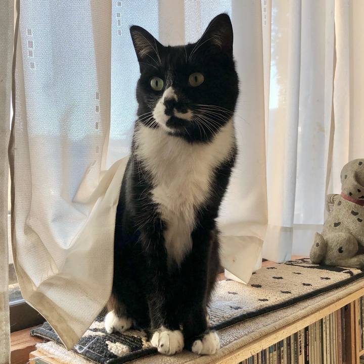 004bd460 8a61 4f3d 83dc e23aa05985a0 1641005978214