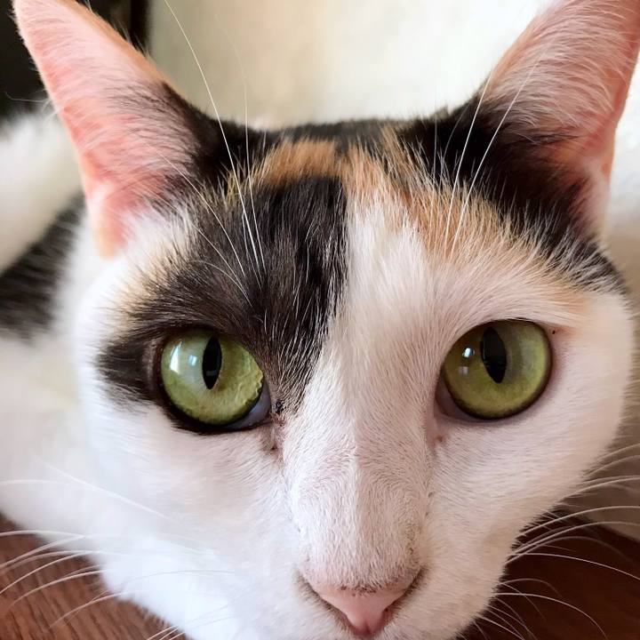 004bf1a1 b25c 4c26 a0f0 e6f8124211f2 1535156738461