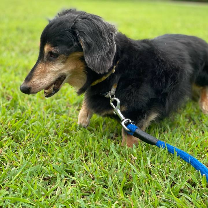 004bf515 9866 459d 80df 996e604c58a9 1727620754747