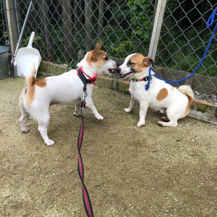 004c09e5 29ca 4c9d aaee 9e3487c6ac9c 1560170303489