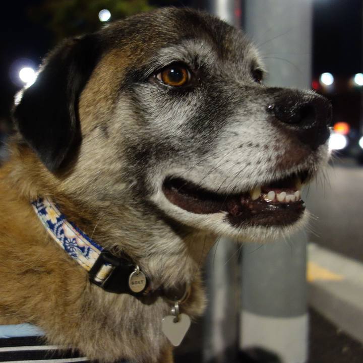 004c27ae 89dc 4642 89c4 4011de09c102 1616198847475