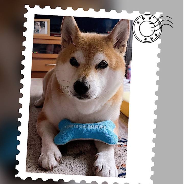 004c3e4d 0c4d 4a64 b5f2 411407a8ed51 1687420255078