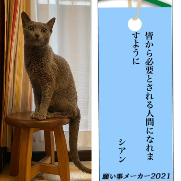 004c58ff ecd9 46df 9a0f 03195fcf43d5 1625731701644