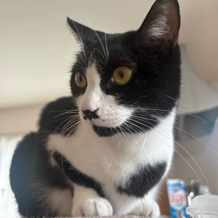 004ca671 b044 4457 bab7 57bab0dd4427 1763605570149