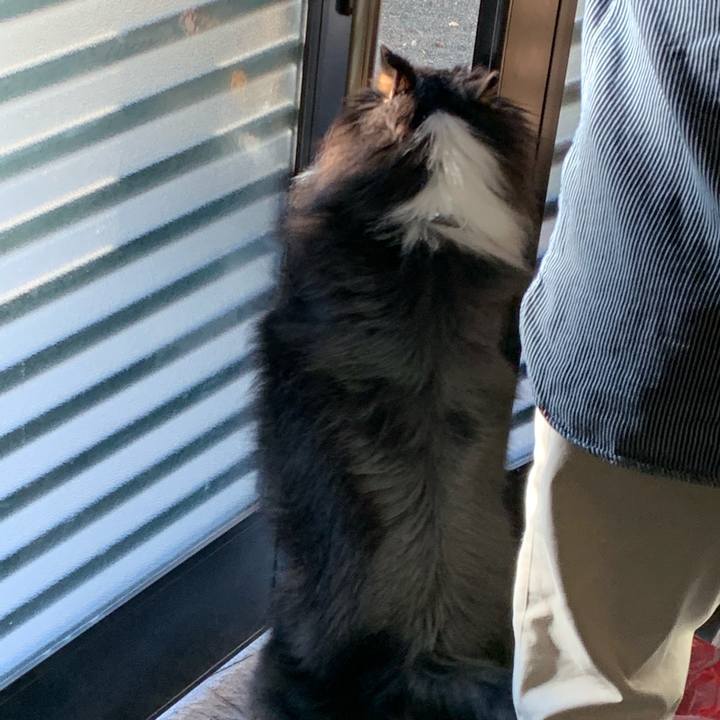 004ca847 6398 4c35 98ae 3a59c2eaa038 1569448062485