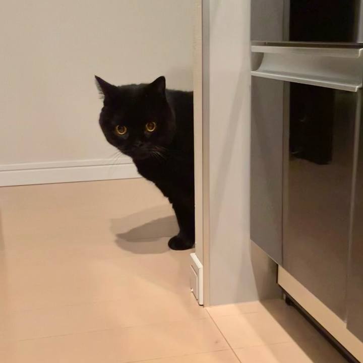 004ccc07 a033 4651 9f0c d672dc6dd7f1 1759397602859