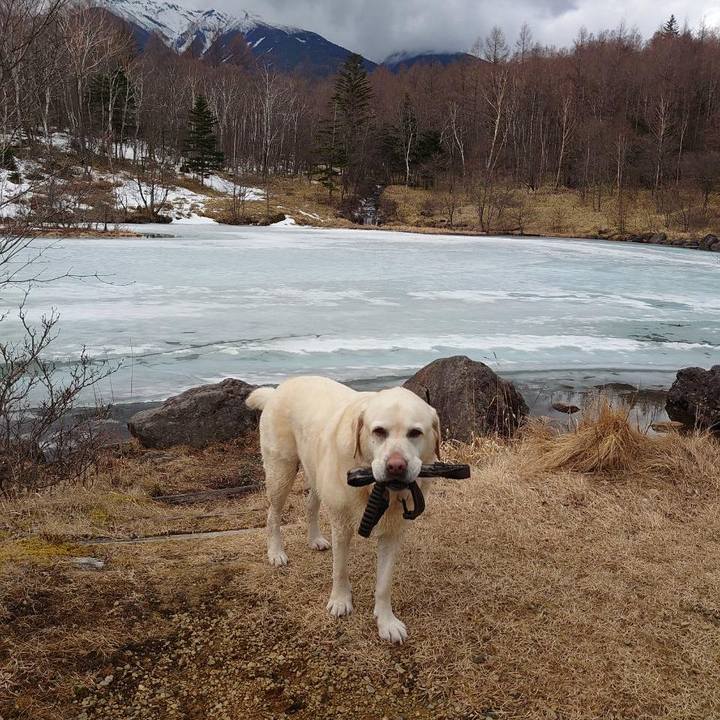 004ccedb 1d77 42cc 995a 36c57b1d6142 1743214921775