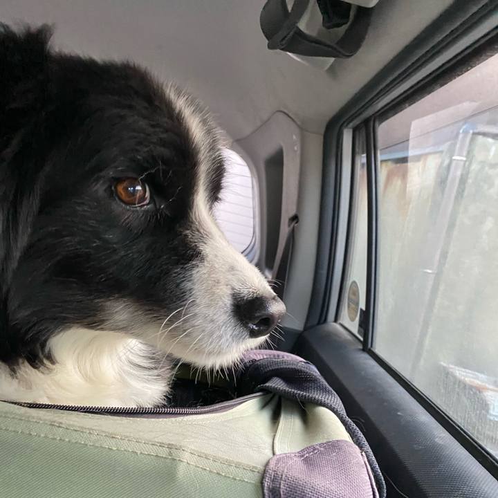 004d121e 560c 4174 a50e 0879791cdded 1667599679257