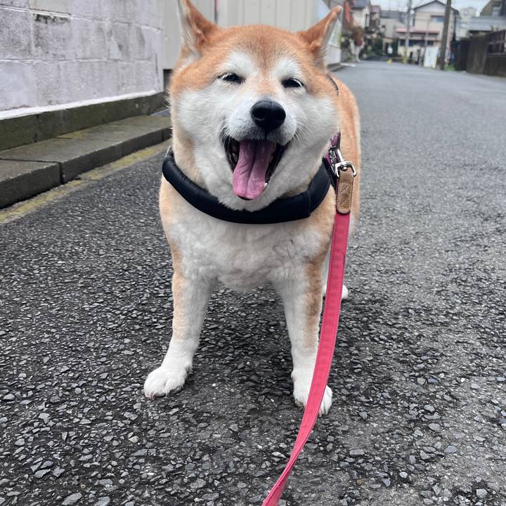 004d19a6 c05c 48d6 832d ab9b99ddf4c9 1712197555592