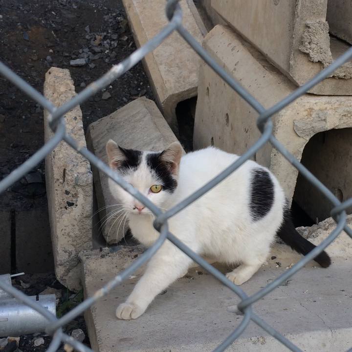 004d343e 2573 45fa 9ae2 4ed4c927c19c 1513415728911