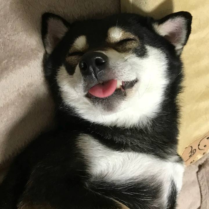 004d3730 3075 4eff b420 1a4a603c8d8d 1520267086708