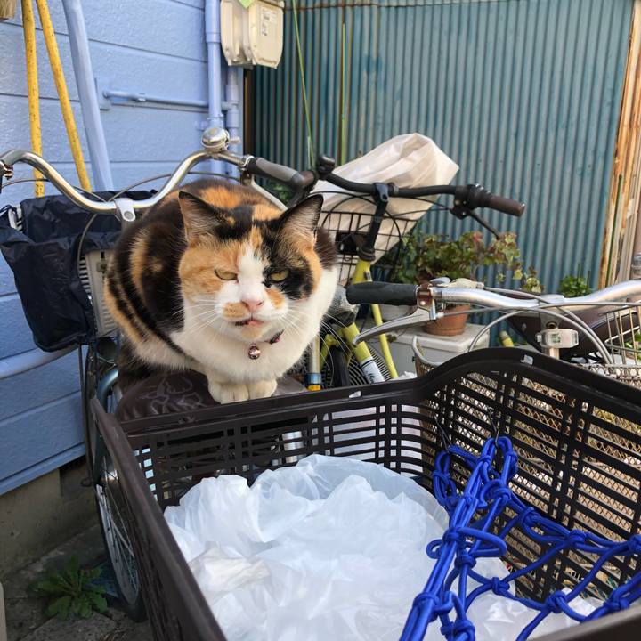 004d9e21 a208 4164 a523 6b71144c2db2 1585410351477