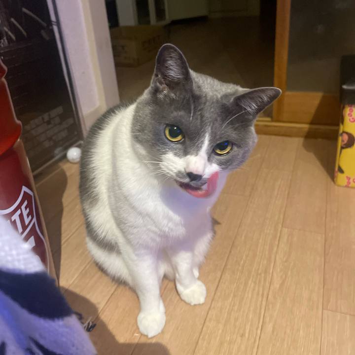 004db452 e871 4942 b0a7 185a163b3bdf 1682859779099