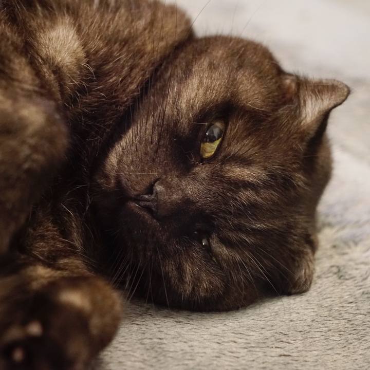 004dcc06 cf20 4883 b178 c049ccb87fdd 1563120888748