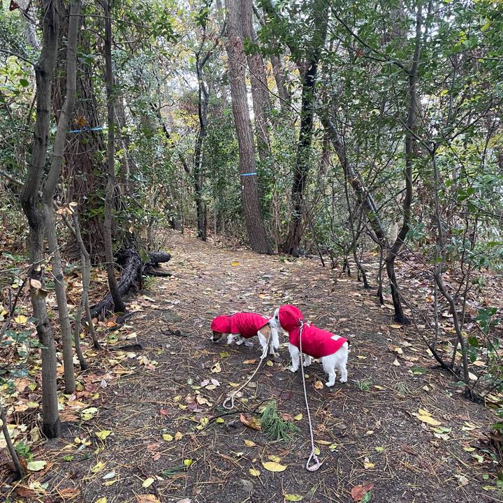 004debe1 6ae2 434a bdb7 18f3112b3bdb 1701300655571