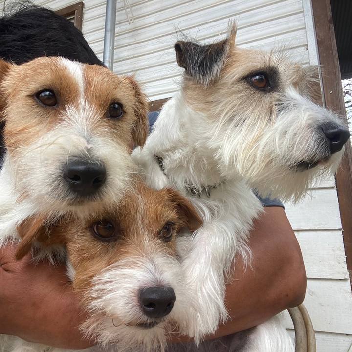 004e3914 39a9 420e bd50 5bce2c35b0b3 1696596705267