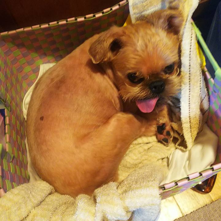 004e40dd d709 4e54 9ef2 68b32832d67b 1593074272704