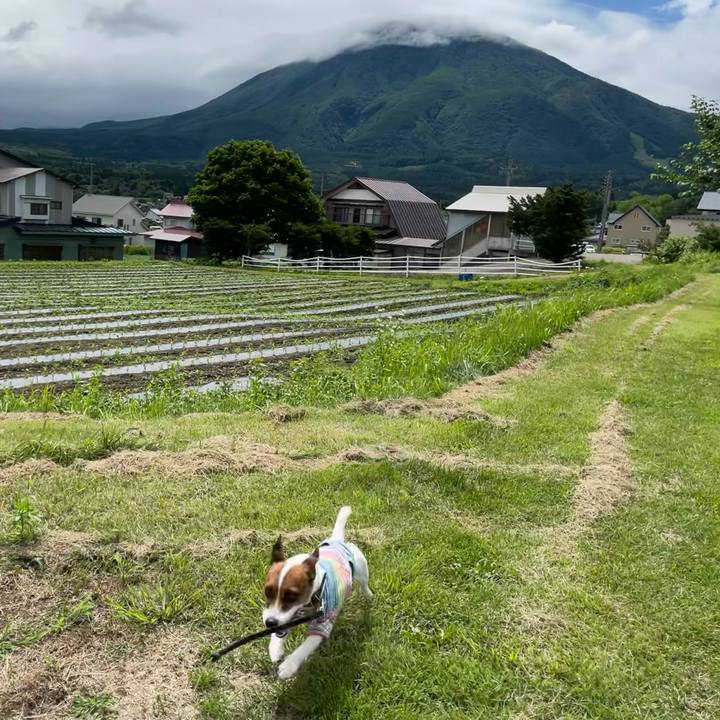 004ed740 deb6 48ad 8e75 1e21fa1beb66 1625226204652