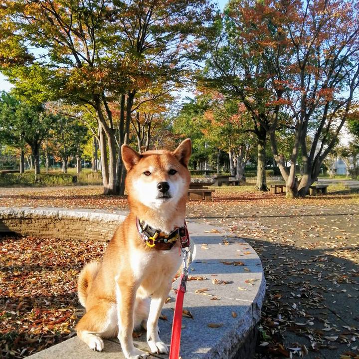 004eda1f b188 4799 9960 ef47ce8529c7 1603925828943