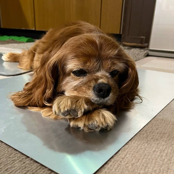 004ee858 289b 4b49 bd84 d18fa99f6dda 1758666035271