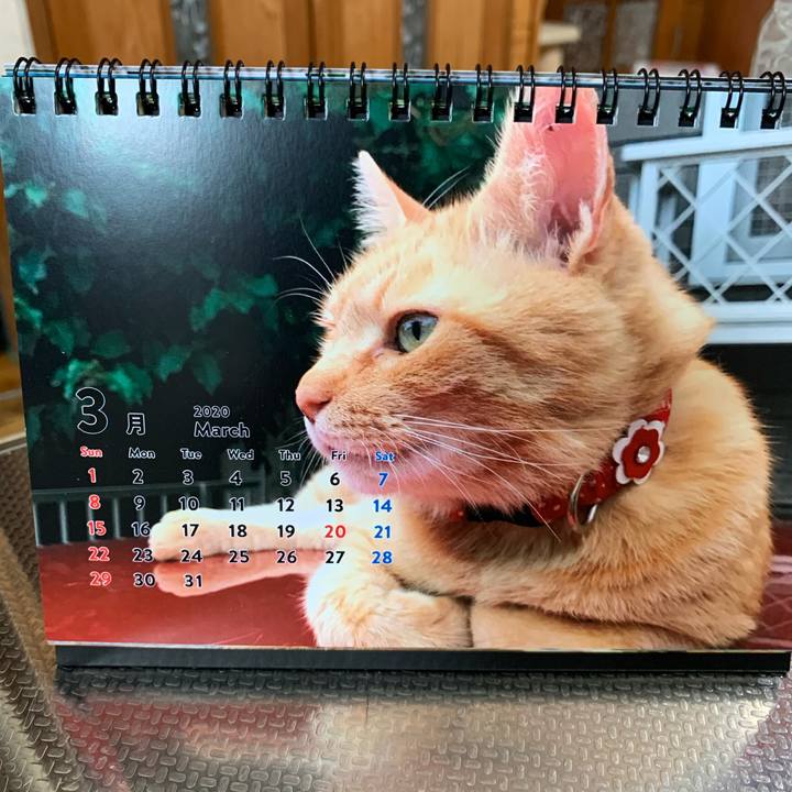 004efe78 2ec2 4f1e 9176 784e940eb433 1584066635369