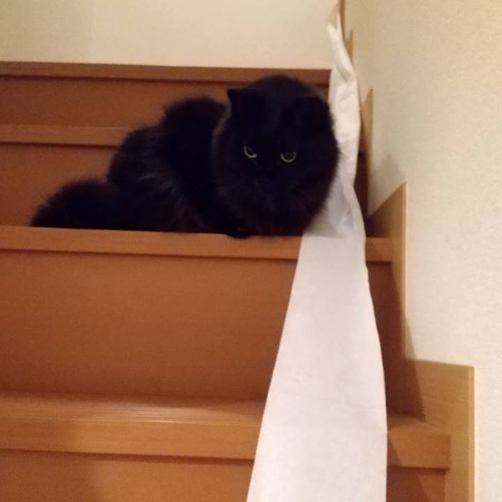 004f5370 8f4b 4af1 8568 806e26a319e7 1581936095041